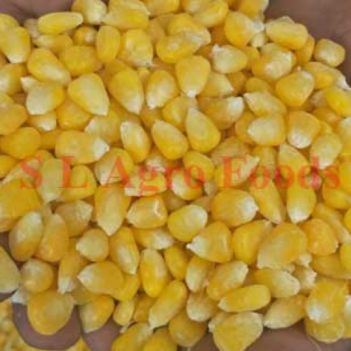 Sweet Corn